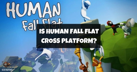 What is the Release Date of human fall flat Crossplay