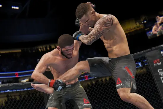 Why is UFC not Cross-Playable